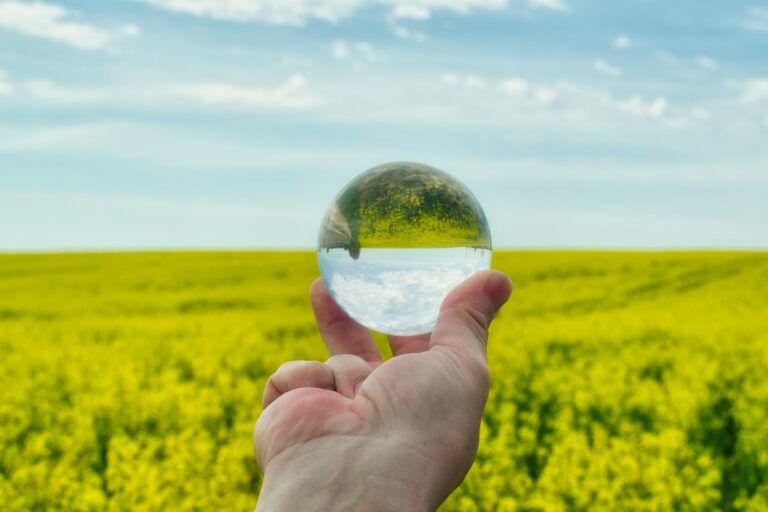 Référé pénal environnemental - juge des libertés et de la détention article L. 216-13