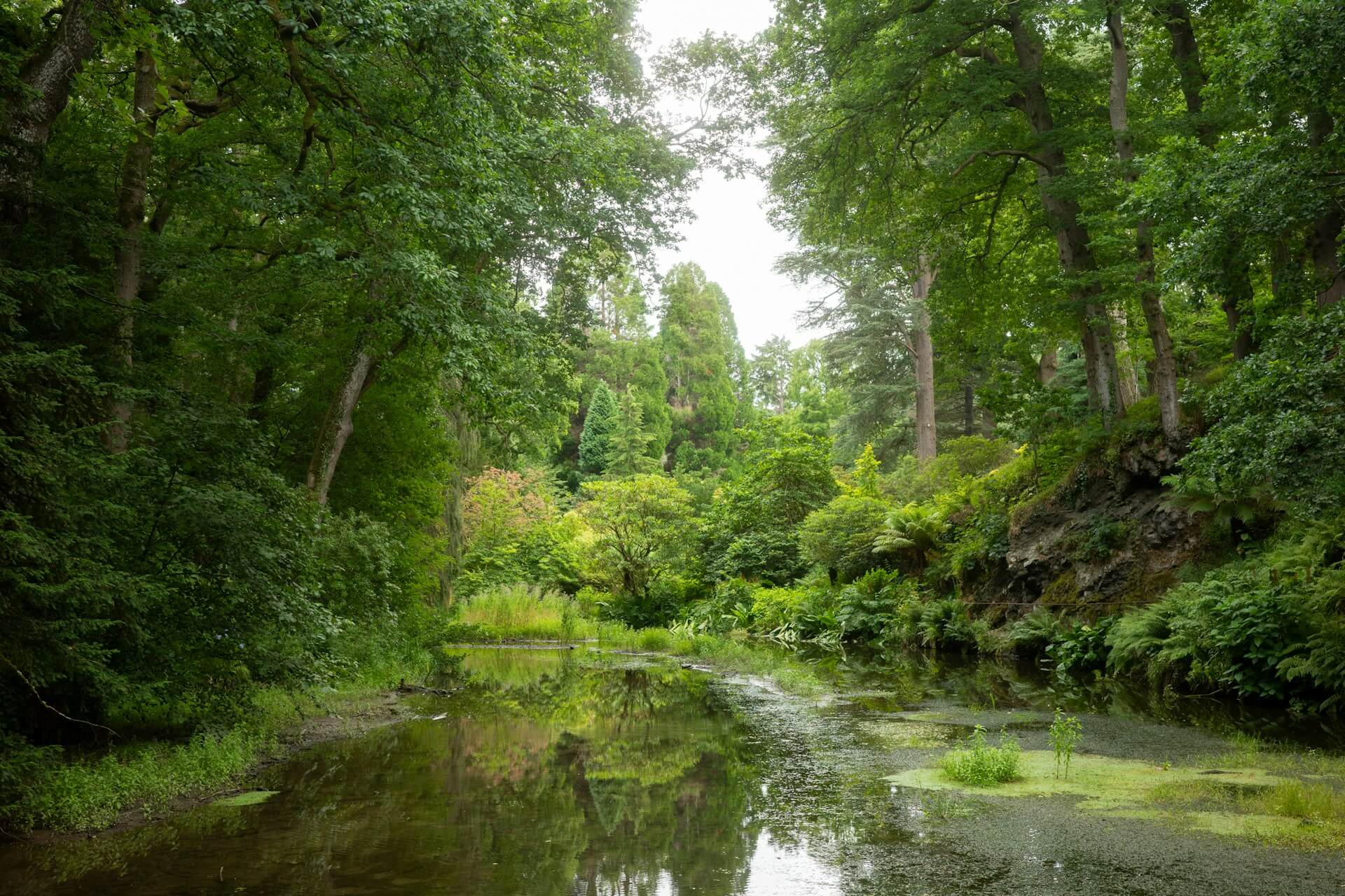 plan d'eau boisé illustrant une pollution piscicole jugée sur le fondement de l'article L. 432-2 du Code de l'environnement